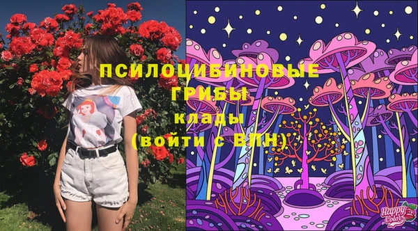 прущие крисы Алексеевка