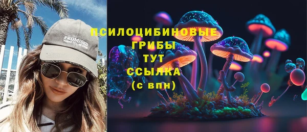 шишки Алексин